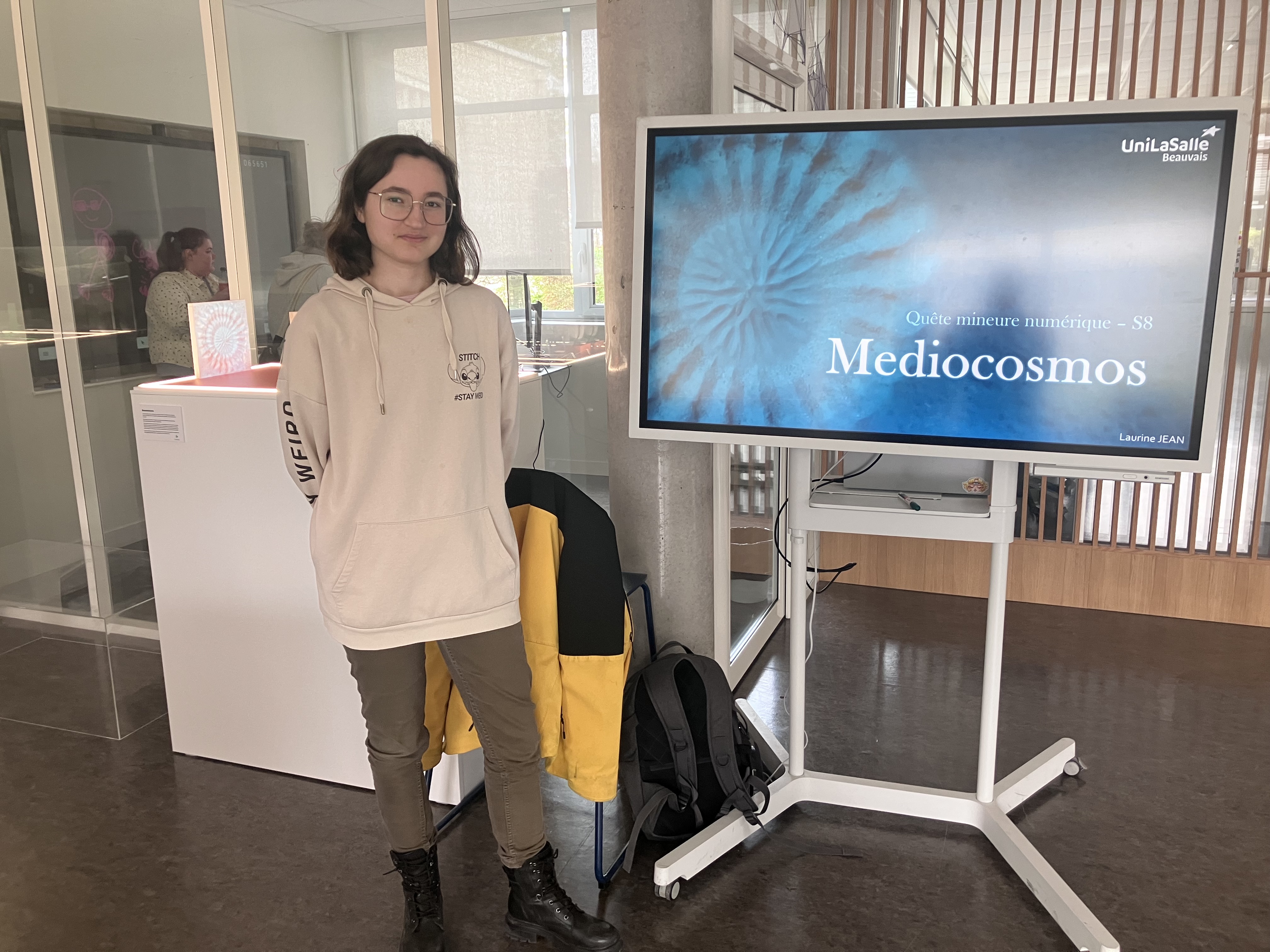 mediocosmos